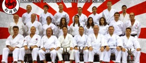 norwin ninjas karate staff