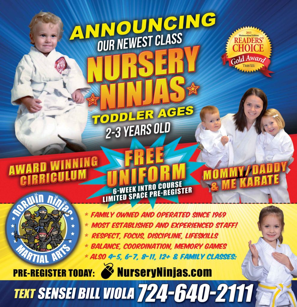 nursery ninjas 2-3 year olds