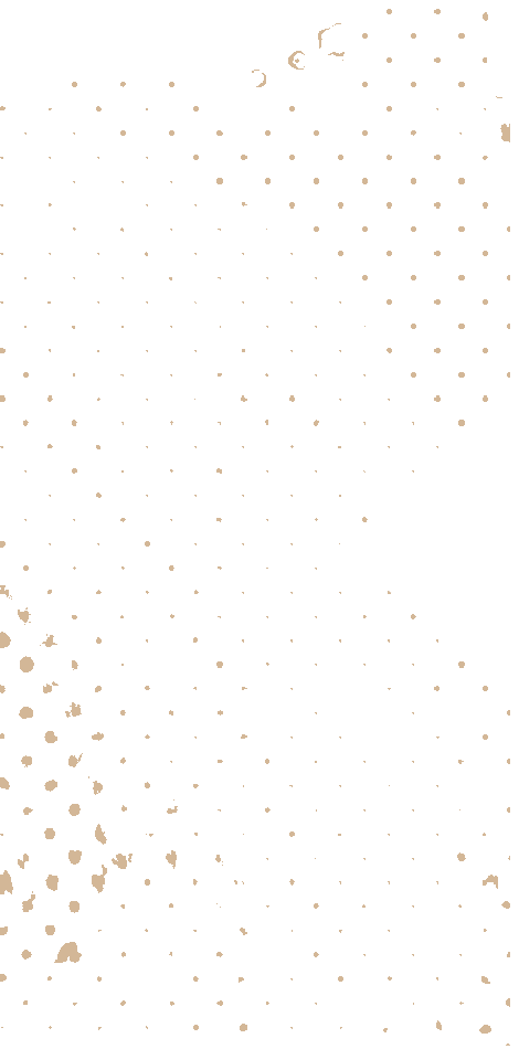 https://norwinninjas.com/wp-content/uploads/2021/04/floating_image_03.png