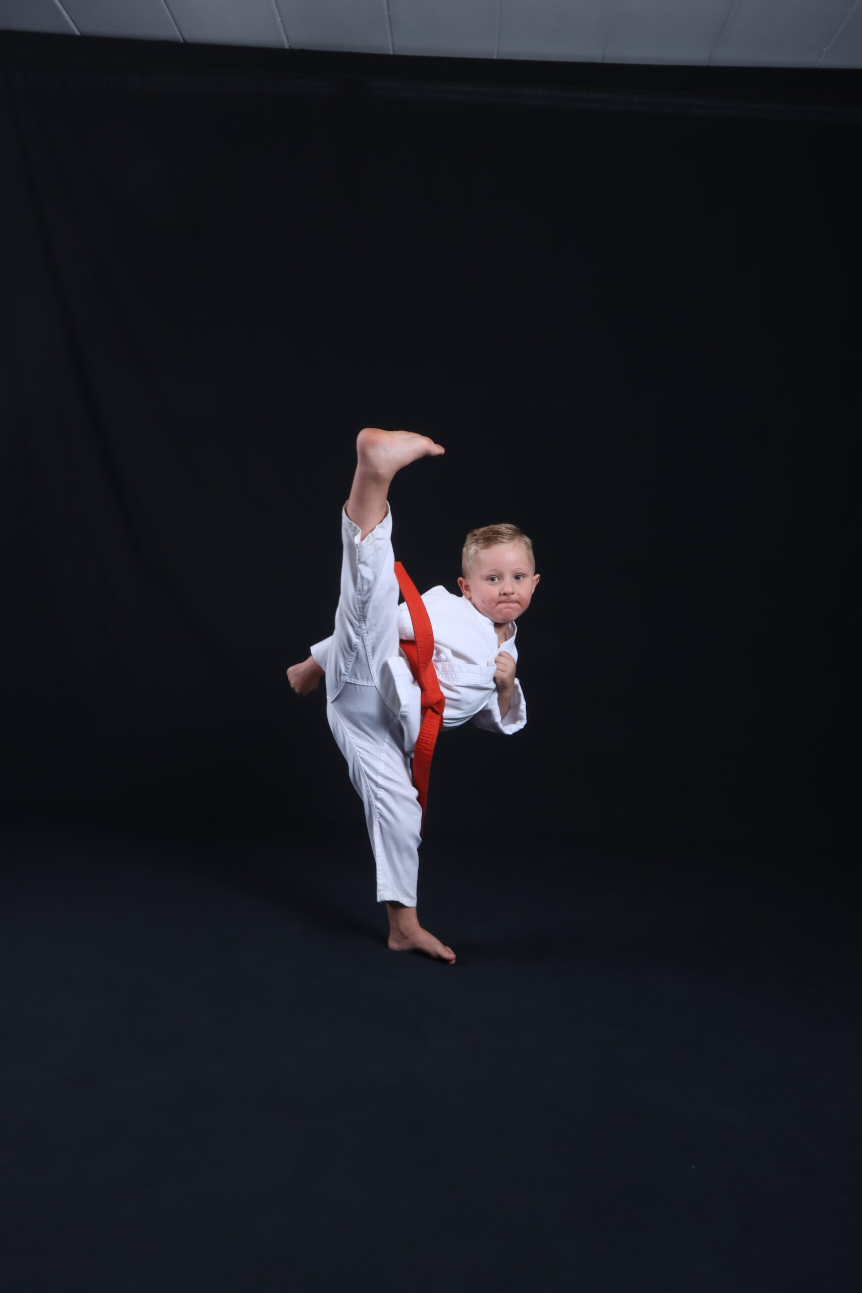 will viola karate kick