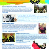 Norwin ninja Testimonials
