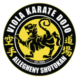 viola karate dojo