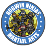 norwin ninjas logo