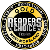 norwin ninjas best karate school