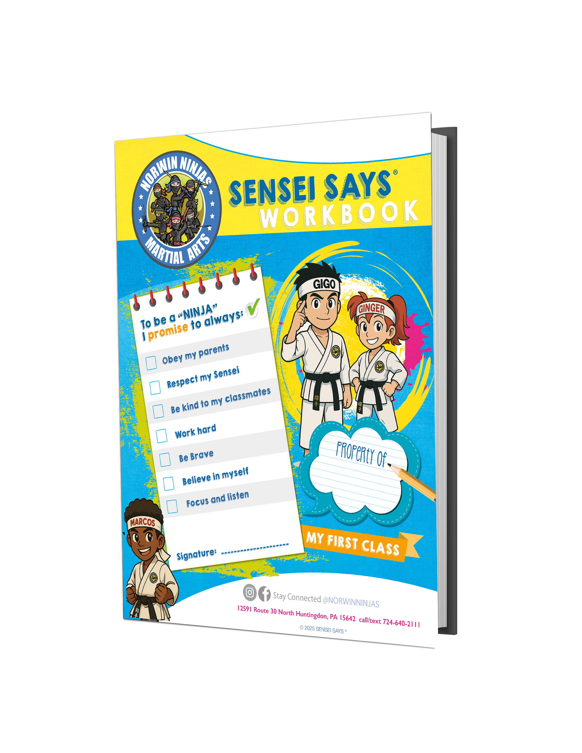 sensei says workbook